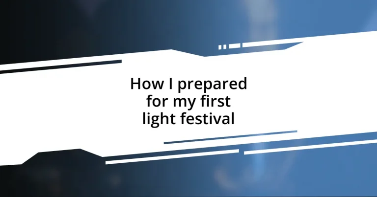 How I prepared for my first light festival